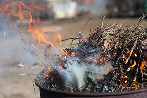 Юрист предупредила о штрафах за сжигание листвы на даче