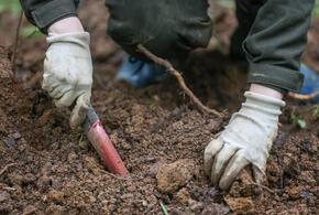 Находки в курганах поразили
