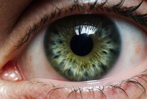 Зеленые глаза: что они расскажут о характере и судьбе обладателя редчайшего цвета радужки