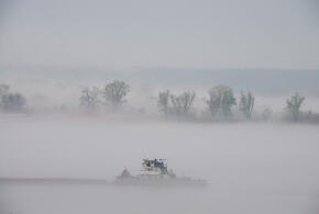 Жестокое убийство произошло на берегу реки в Сочи