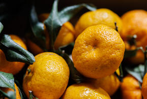 22 тонны заражённых мандаринов привезли на Кубань из Турции, но пустили в продажу