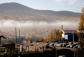 Акула растерзала туристов, Трамп приказал мобилизовать дополнительно 500 военнослужащих: что произошло, пока вы спали