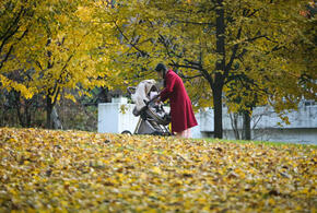 В России продажи препаратов бьют рекорды третий год подряд