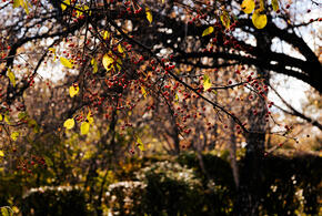 Больше 70 улиц в Краснодаре останутся без света 7 ноября