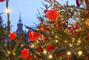Наступает год Красной Огненной Лошади по восточному календарю
