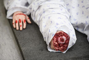 Прокуратура начала проверку