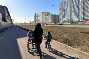 День матери: как появился праздник, история и традиции