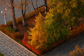 Депутат Александр Сафронов призвал увеличить расходы на уход и полив, чтобы новые посадки не погибали