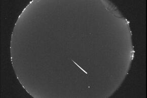 Для Козерогов у звёзд есть рекомендации по любви, Водолеям придётся выпутываться из непростой ситуации