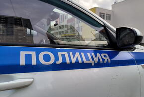 Голова в рюкзаке, заколотый вилкой ребенок и прочие ужасные истории о том, как матери зверски убивали собственных детей