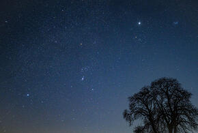 Гороскоп на неделю с 1 по 7 декабря от «Живой Кубани»