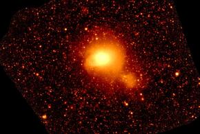 Козероги могут выгодно воспользоваться своим положением, Водолеям не помешает отдалиться от кое-кого