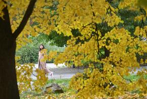 До конца осени столбики термометров будут держаться выше нормы