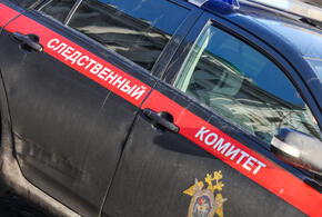 Взрывное устройство было спрятано в подарочной коробке и начинено гвоздями