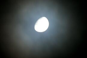 Гороскоп на 15 ноября для всех знаков зодиака от «Живой Кубани»