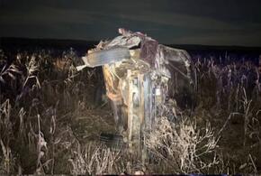 Машина стала грудой металла: два человека погибли в жутком ДТП в Мостовском районе