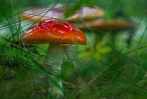 Два человека находятся в тяжелом состоянии