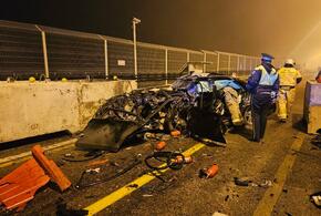 Дети, находившиеся в автомобиле, получили серьезные травмы