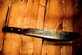 На Кубани пенсионер угрожал своему соседу расправиться с ним в камышах