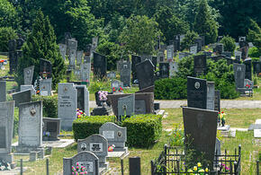 На скамье землекоп и советник мэра: в Сочи начался процесс по делу «кладбищенской мафии»