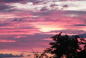 На Солнце произошла вспышка предпоследнего класса мощности: о космической погоде рассказали учёные