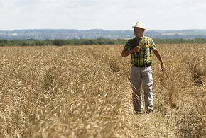 «Не хватает более 200 тысяч человек»: эксперт рассказал, как решить кадровую проблему в АПК