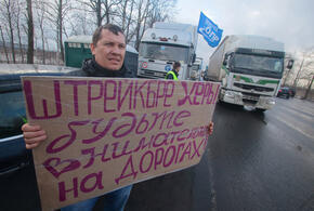 Более 60 процентов заявили, что их все устраивает