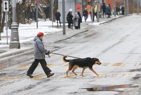Обнять и плакать: какой погоды ждать кубанцам в декабре