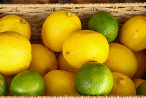 Опасный «мраморный» гость пробрался в Сочи в партии мандаринов