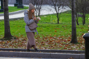 День пройдет без осадков