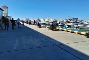 Пассажиры провели ночь в море: турецкий паром спустя сутки получил разрешение на вход в порт Сочи