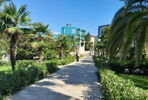 Погода на неделю с 24 по 30 ноября в Краснодарском крае