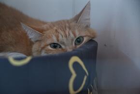 Погода в Краснодарском крае на выходные, к чему готовиться