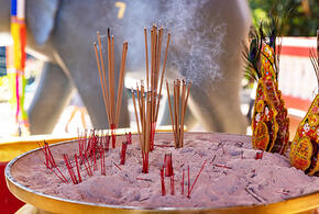 Попадает в кровоток: в Роскачестве рассказали о крайне опасном для здоровья предмете интерьера