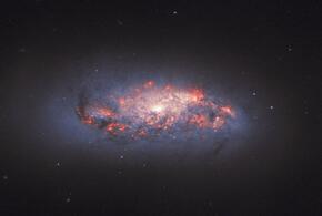 Рыбы обожгутся на удовольствиях, Козерогов ждёт много возможностей, но взять все не получится