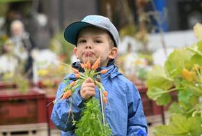 Россия – страна с богатой историей и, как следствие, с не менее богатым выбором имен. И если одни родители стремятся к классике и благозвучию, то другие, видимо, решили добавить в жизнь своих чад щепотку юмора и оригинальности. Результат?  Когда родители были в ударе (или не очень): •	Космические имена: В эпоху покорения космоса, видимо, было модно давать детям имена, связанные с этой темой. Так появились на свет Космос, Гагарин, Восток, а иногда и более экзотические варианты вроде Марс или Юпитер.  •	Револ