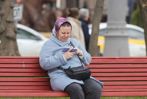 Рейтинг наиболее популярных материалов «Живой Кубани» за сегодня