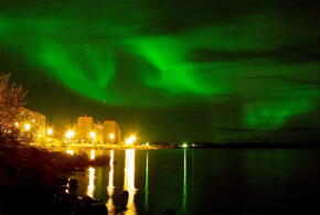 Синие, жёлтые, красные: падающие звёзды разных цветов можно будет увидеть в декабре