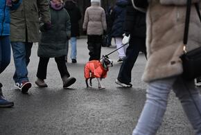 Синоптики рассказали, какой будет эта зима в Краснодарском крае 