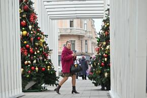 Сколько краснодарки готовы потратить на подготовку к Новому году?