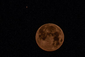 Скорпионам нужно приготовиться к приключениям, Стрельцам лучше последить за здоровьем