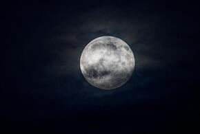 Скорпионов ждет судьбоносная встреча, Стрельцы преисполнены оптимизма