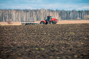 Собака на сене: двое собственников земли на Кубани лишились участков, потому что не использовали их по назначению