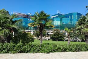 Сочи впервые за 7 лет проиграл Москве по стоимости элитных новостроек