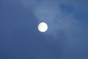 Свинья в одеяле и Сыр на палке: шесть новых созвездий назвали в честь еды