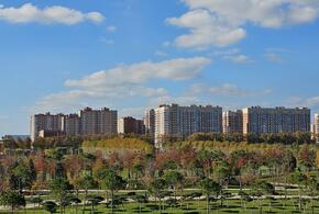 Только руки и больше ничего: странный арт-объект появился в парке Галицкого в Краснодаре