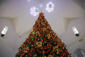 Как оформить дом так, чтобы символ года принес движение и благополучие