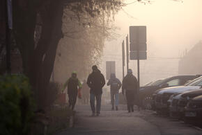 Мы собрали для вас новости, которые обязательно надо обсудить с коллегами, друзьями или родственниками