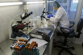 В Белореченске ветеринар потеряла 1,3 млн после сообщения от «начальника»