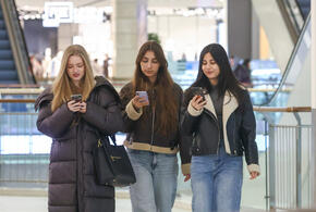 В Госдуме бьют тревогу: российские школьники подсели на «пьяный» орех и массово скупают его на маркетплейсах